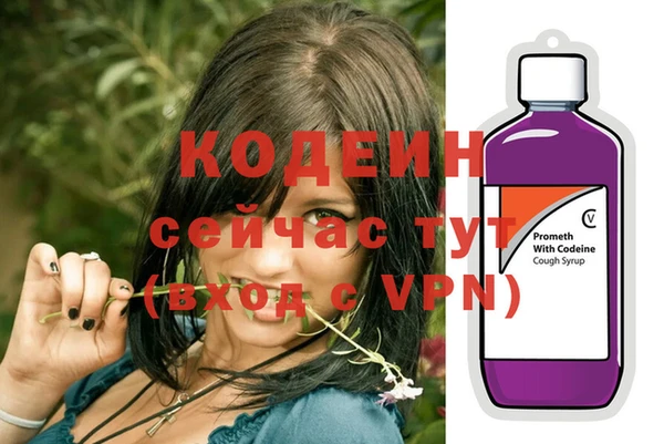 ГАЛЛЮЦИНОГЕННЫЕ ГРИБЫ Кулебаки