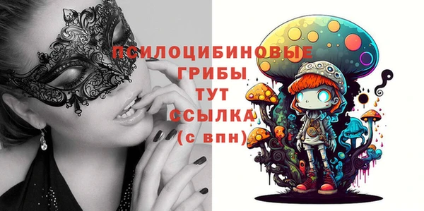 apvp Балабаново