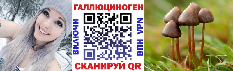 Псилоцибиновые грибы GOLDEN TEACHER  даркнет сайт  Лихославль 